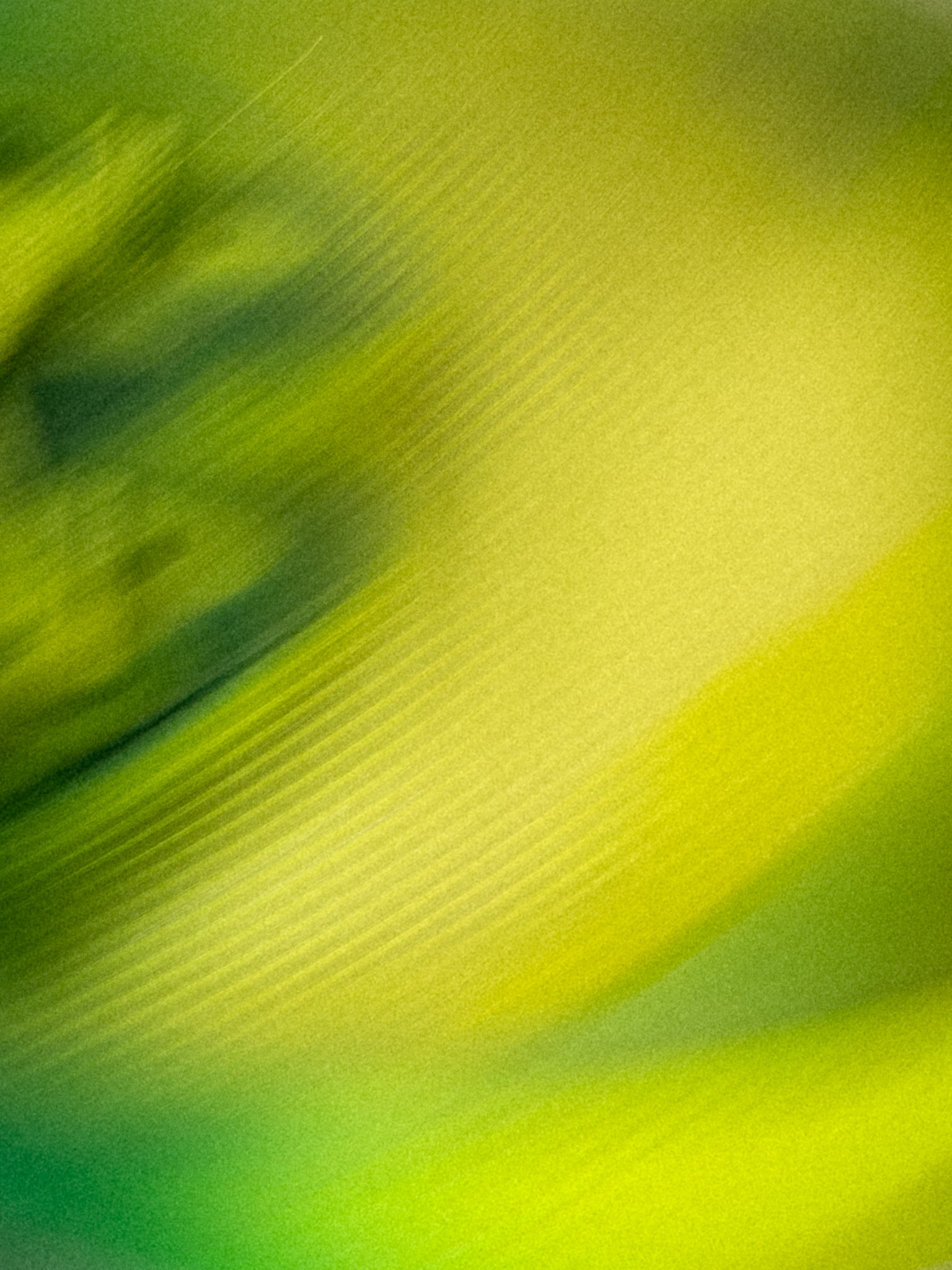 AR500752-5